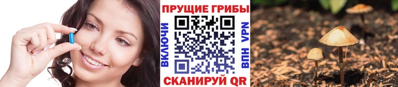 OMG   Борисоглебск  Галлюциногенные грибы ЛСД 